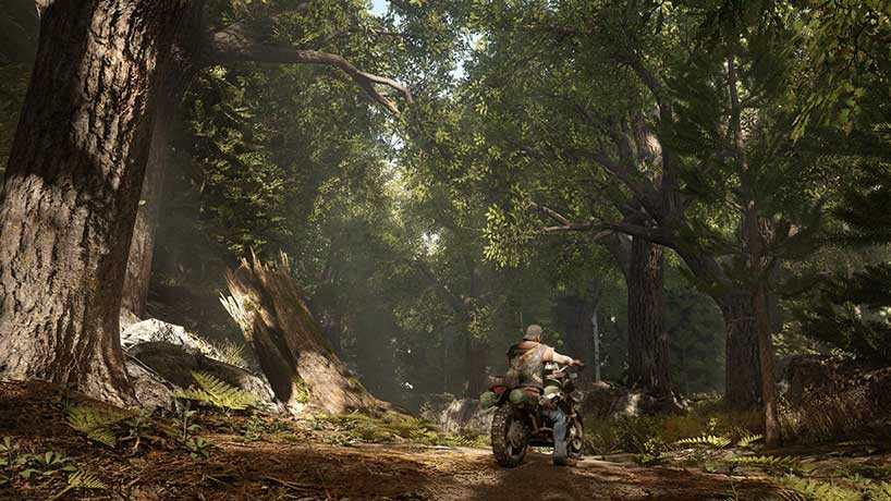 Days Gone - лес